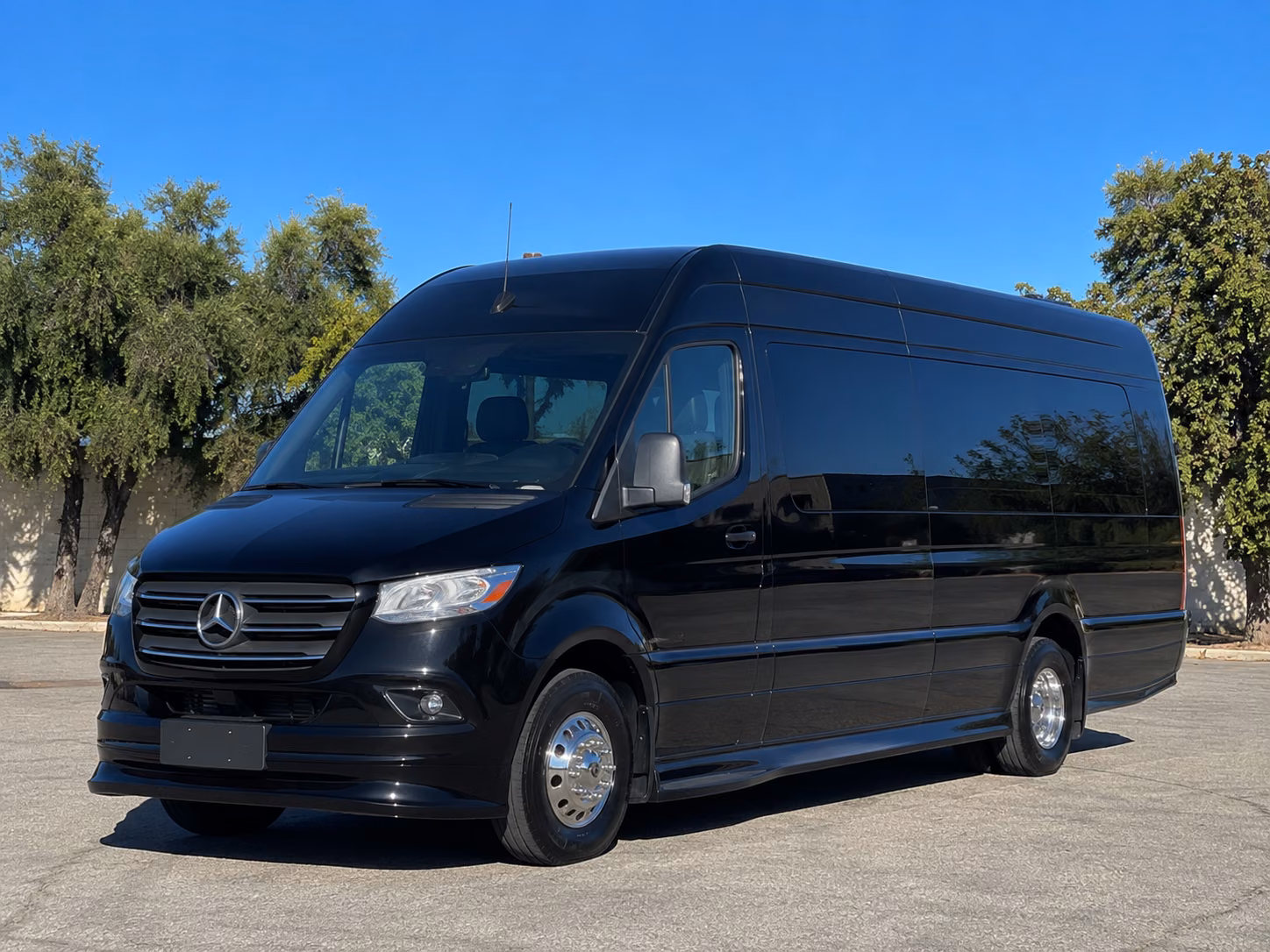 sandy springs sprinter van with driver